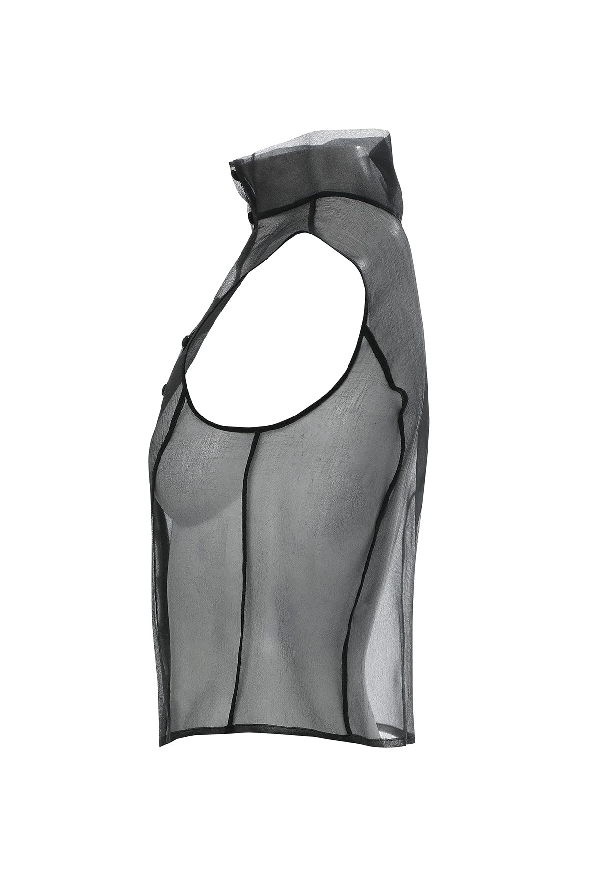 Boğazlı Transparan Organze Siyah Bluz