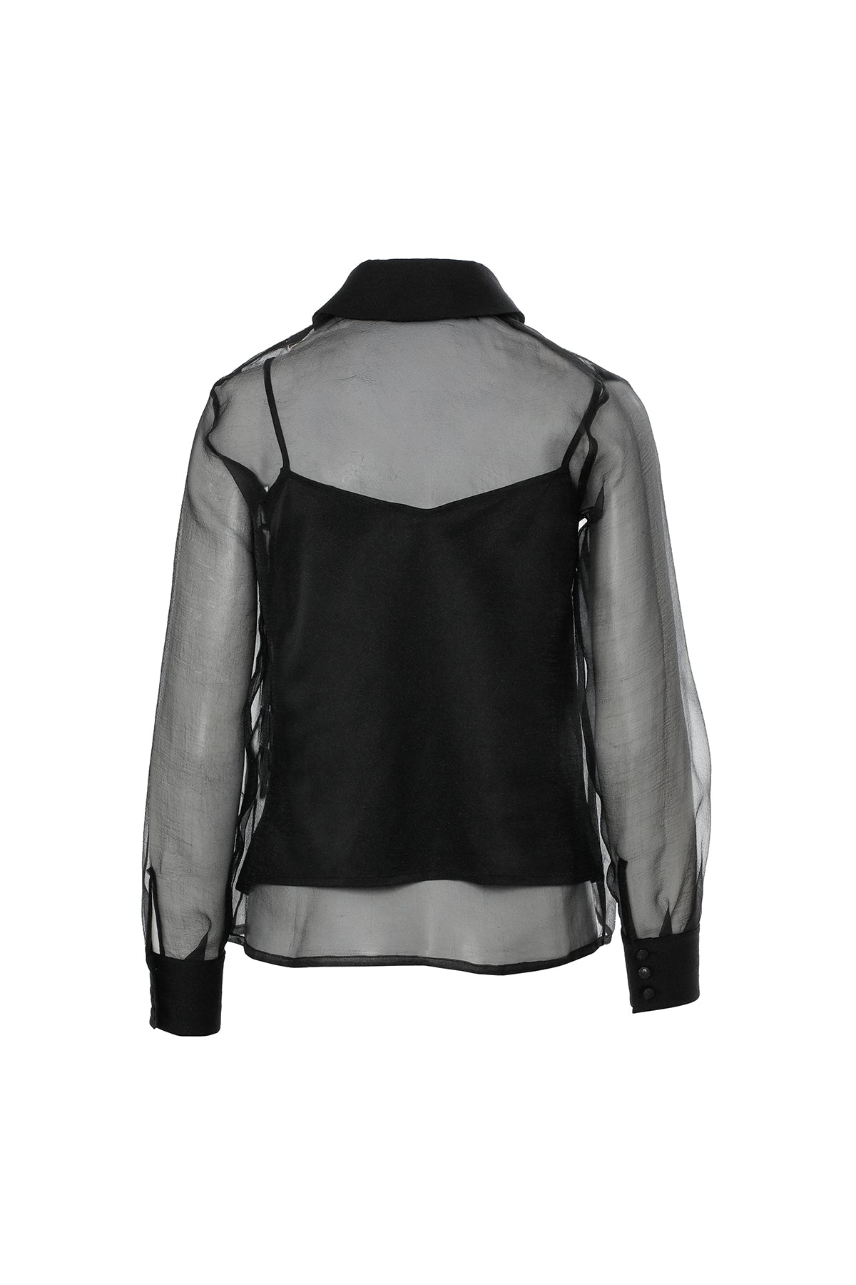 Uzun Kollu Çiçek Aksesuarlı Transparan Bluz