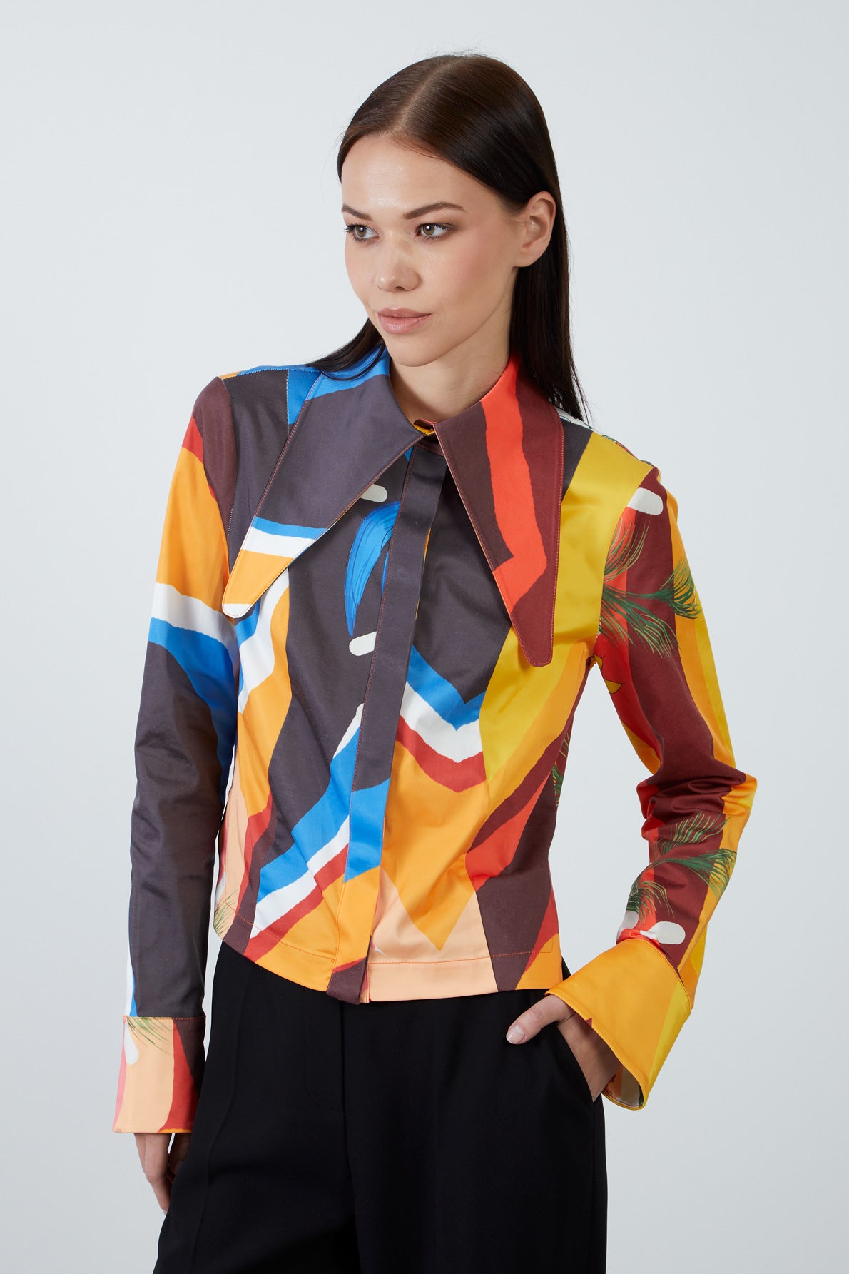 Çok Renkli Yaka Detaylı Gömlek