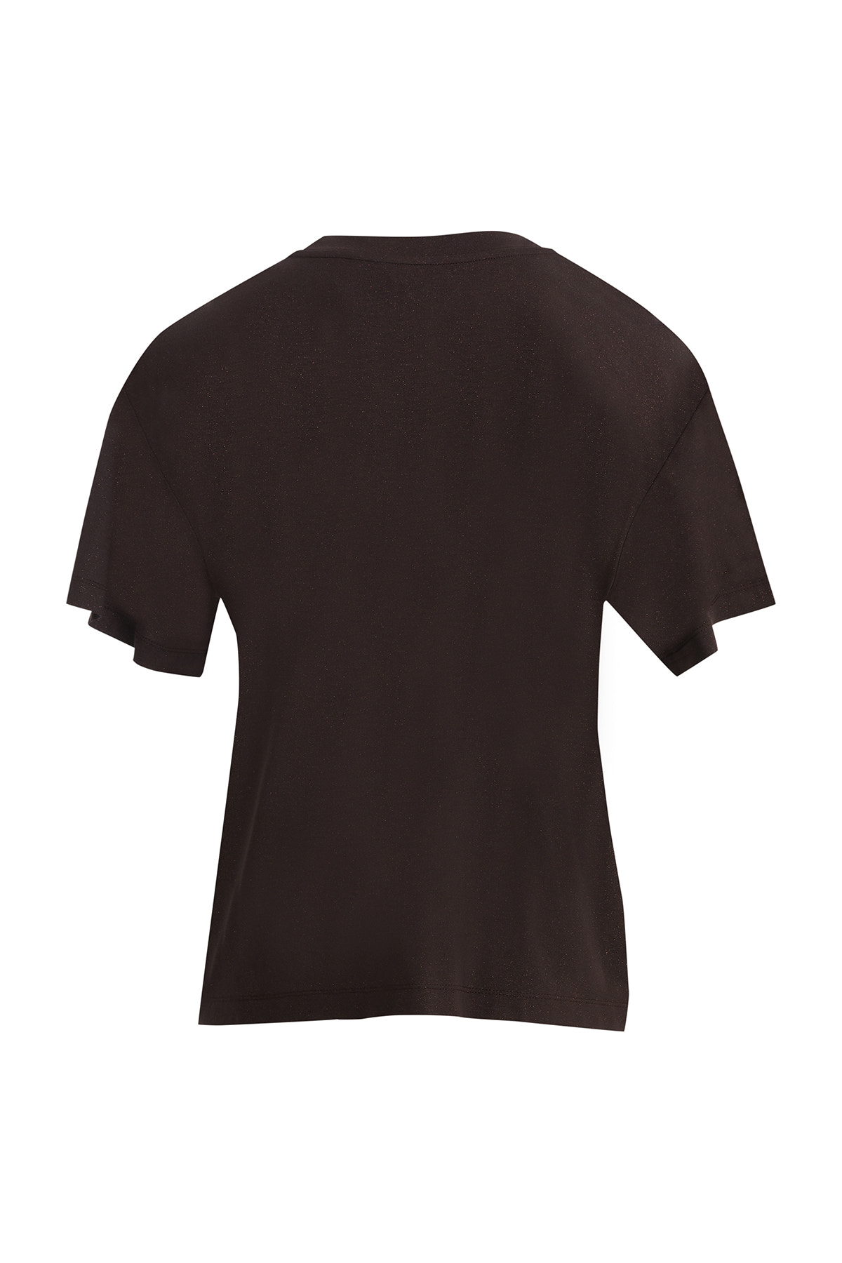 Simli İşleme Detaylı T-Shirt