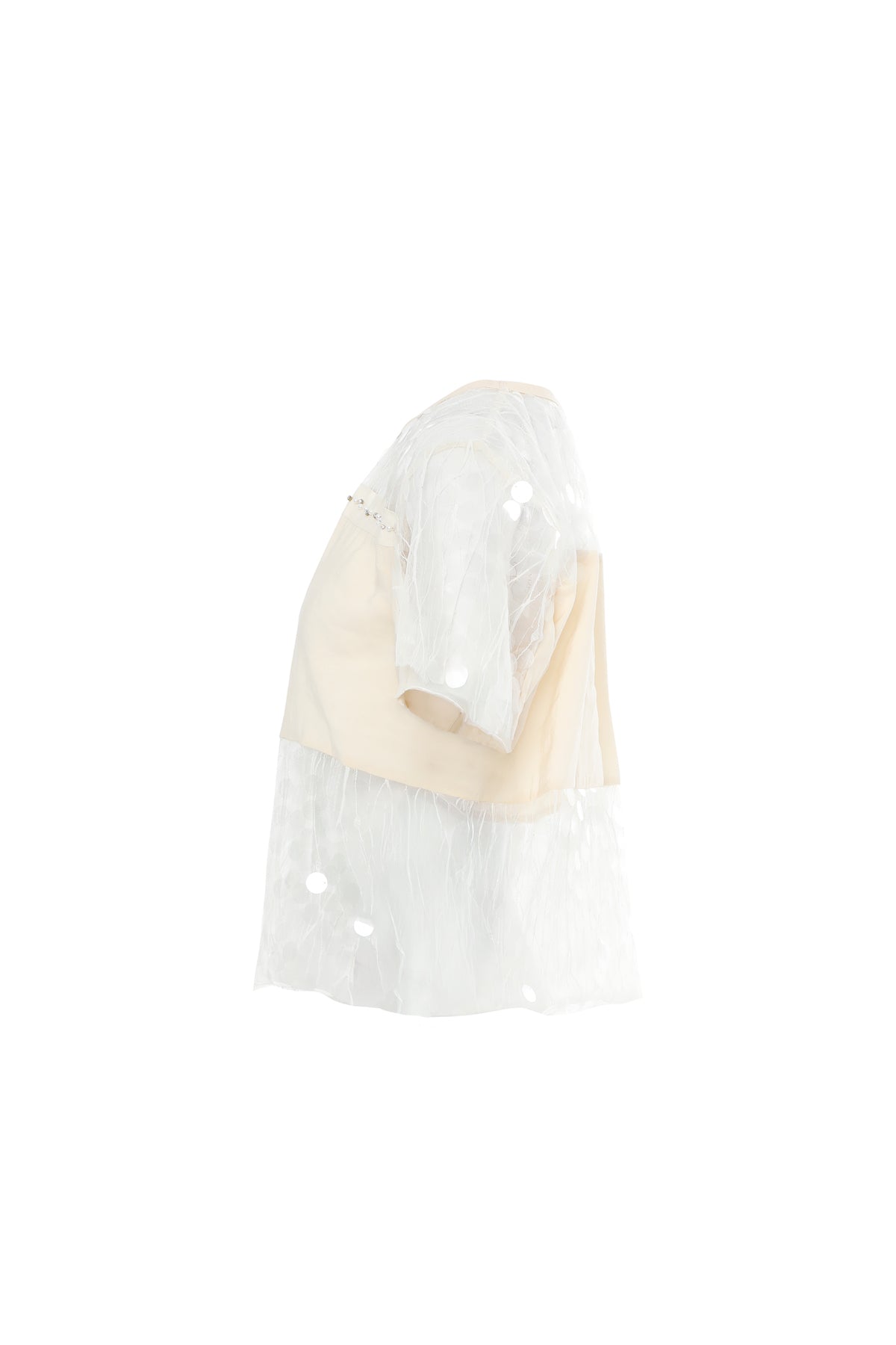 Payetli Transparan Detaylı İşlemeli Bej Bluz