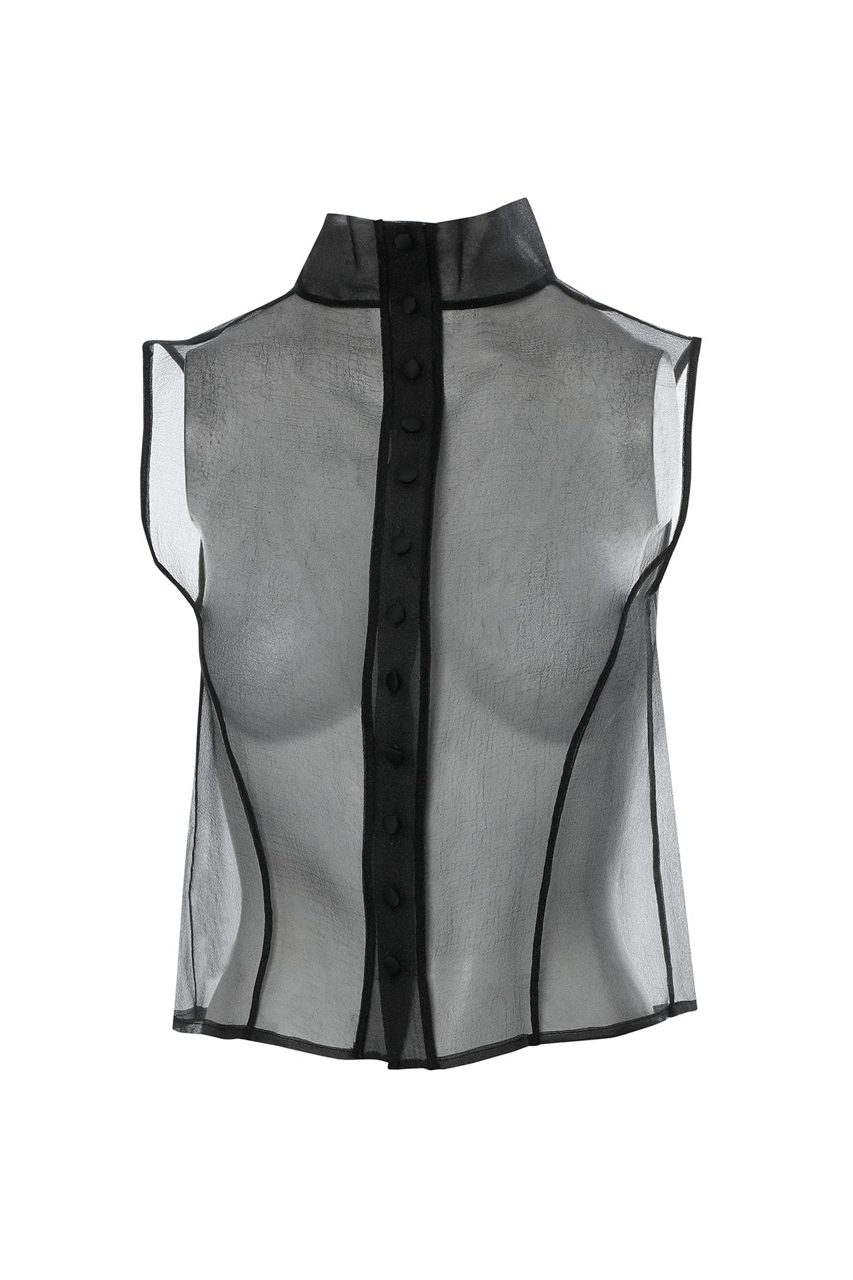 Boğazlı Transparan Organze Siyah Bluz