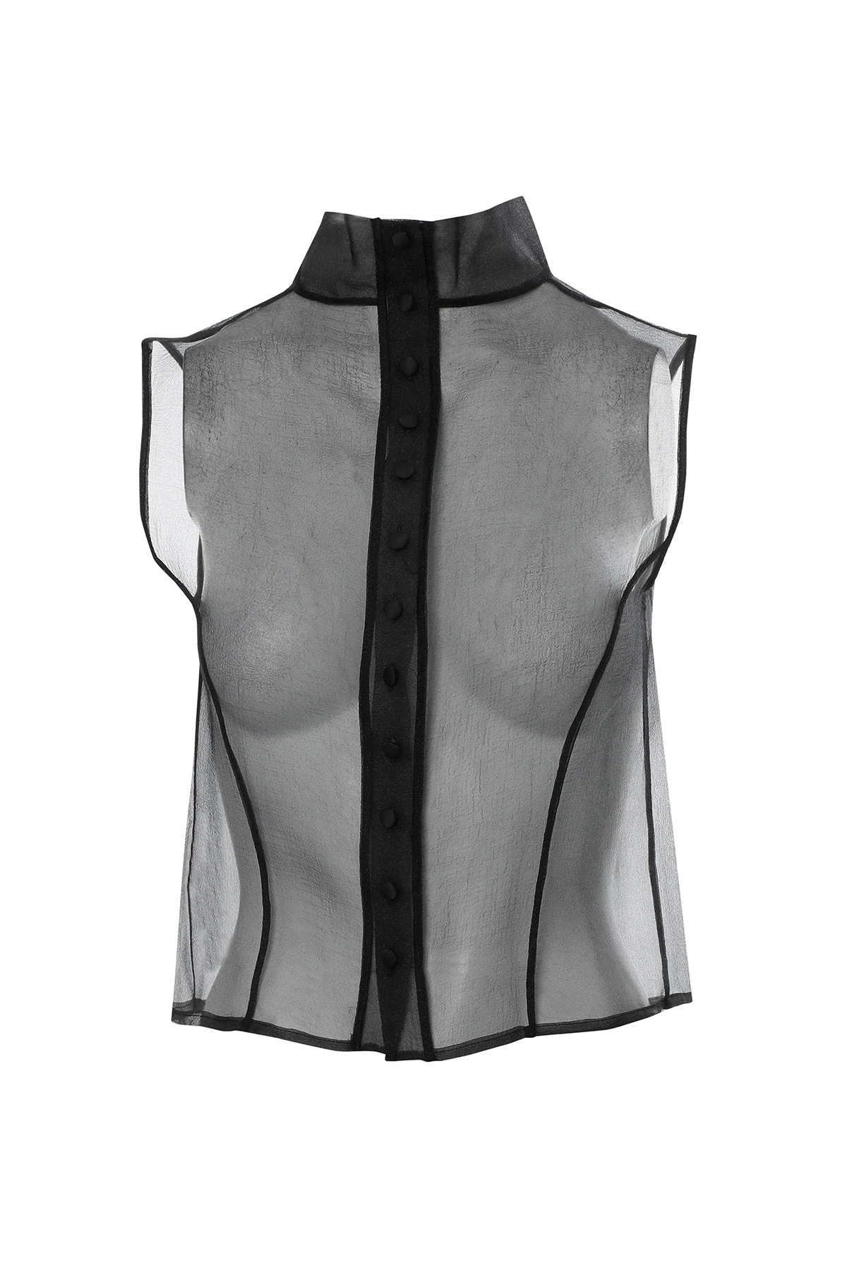 Boğazlı Transparan Organze Siyah Bluz