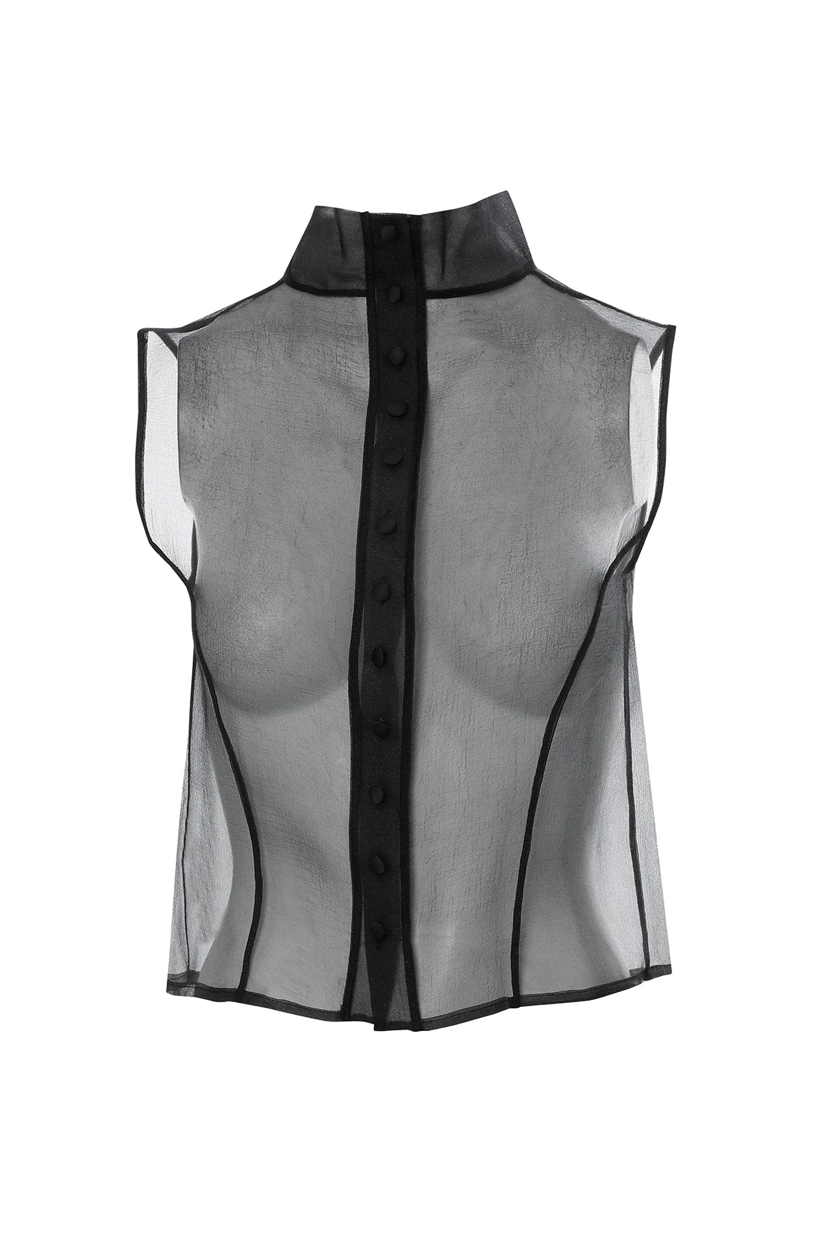 Boğazlı Transparan Organze Siyah Bluz