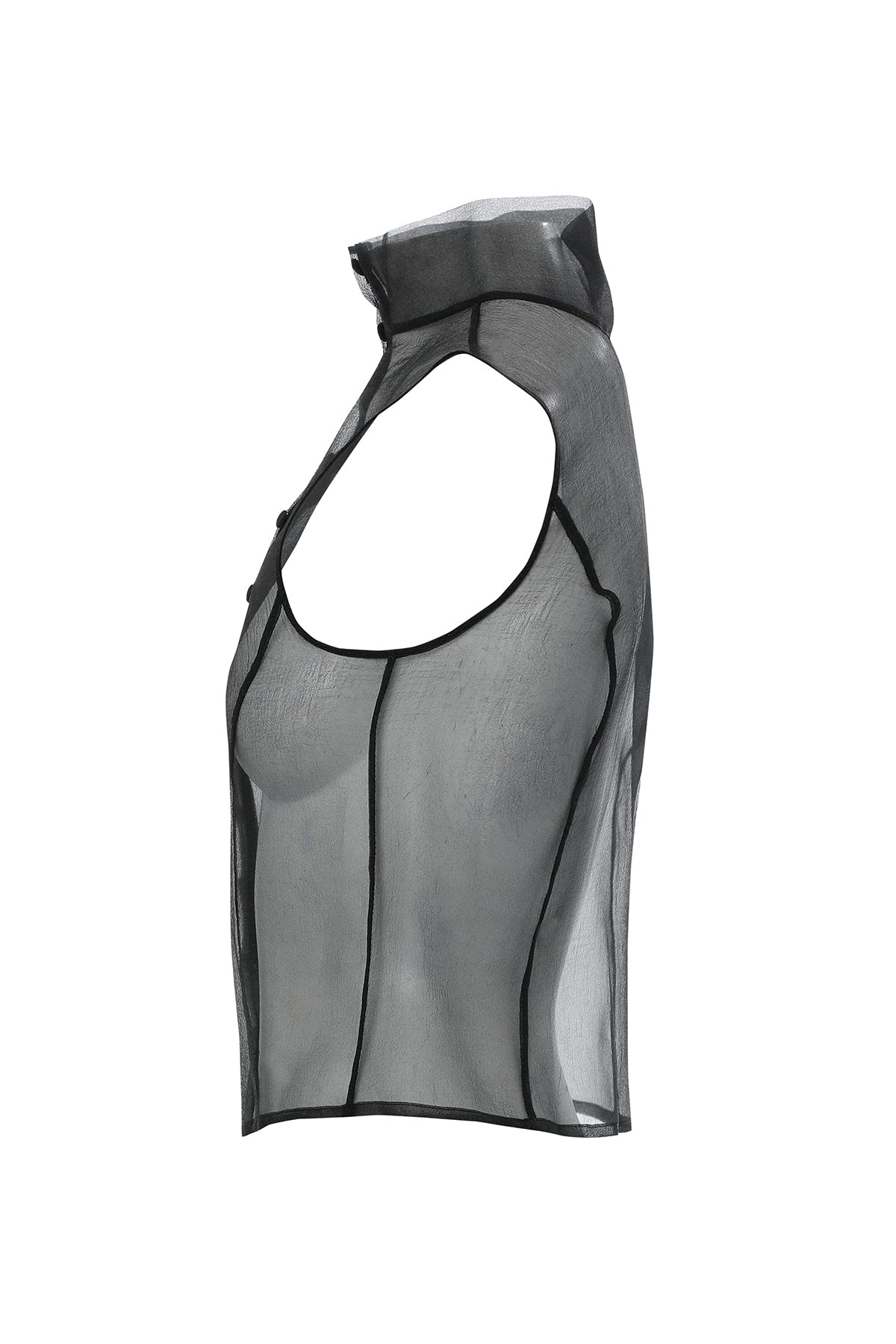 Boğazlı Transparan Organze Siyah Bluz