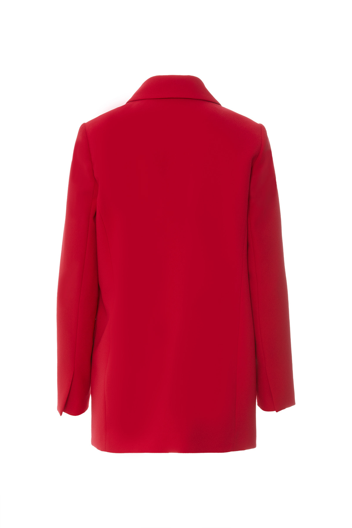 Düğme Detaylı Uzun Kollu Ceket