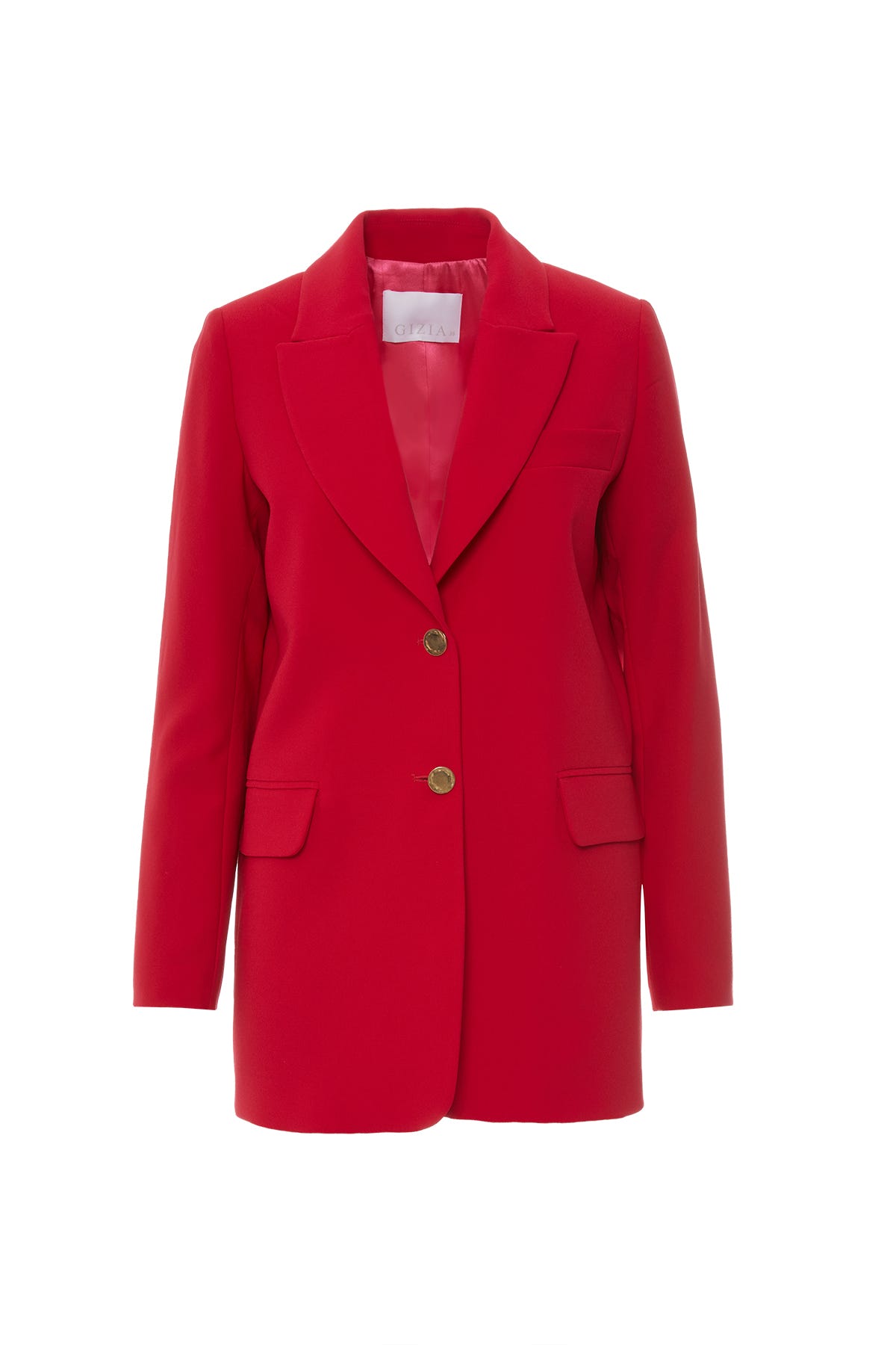 Düğme Detaylı Uzun Kollu Ceket