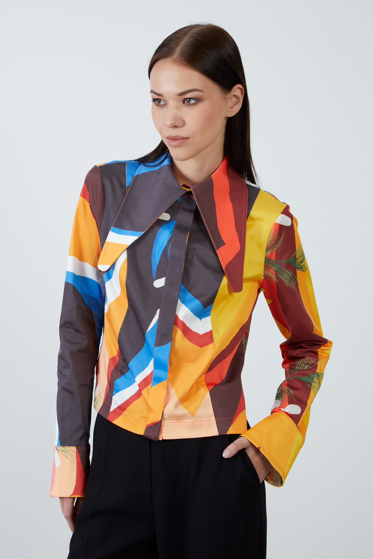 Çok Renkli Yaka Detaylı Gömlek