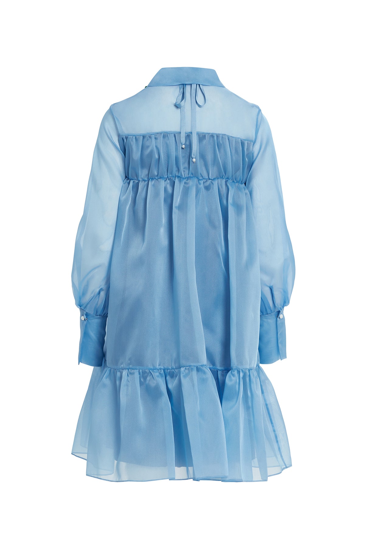 Çıkarılabilir Çiçek Detaylı, Etek Ucu Büzgülü Transparan Midi Elbise