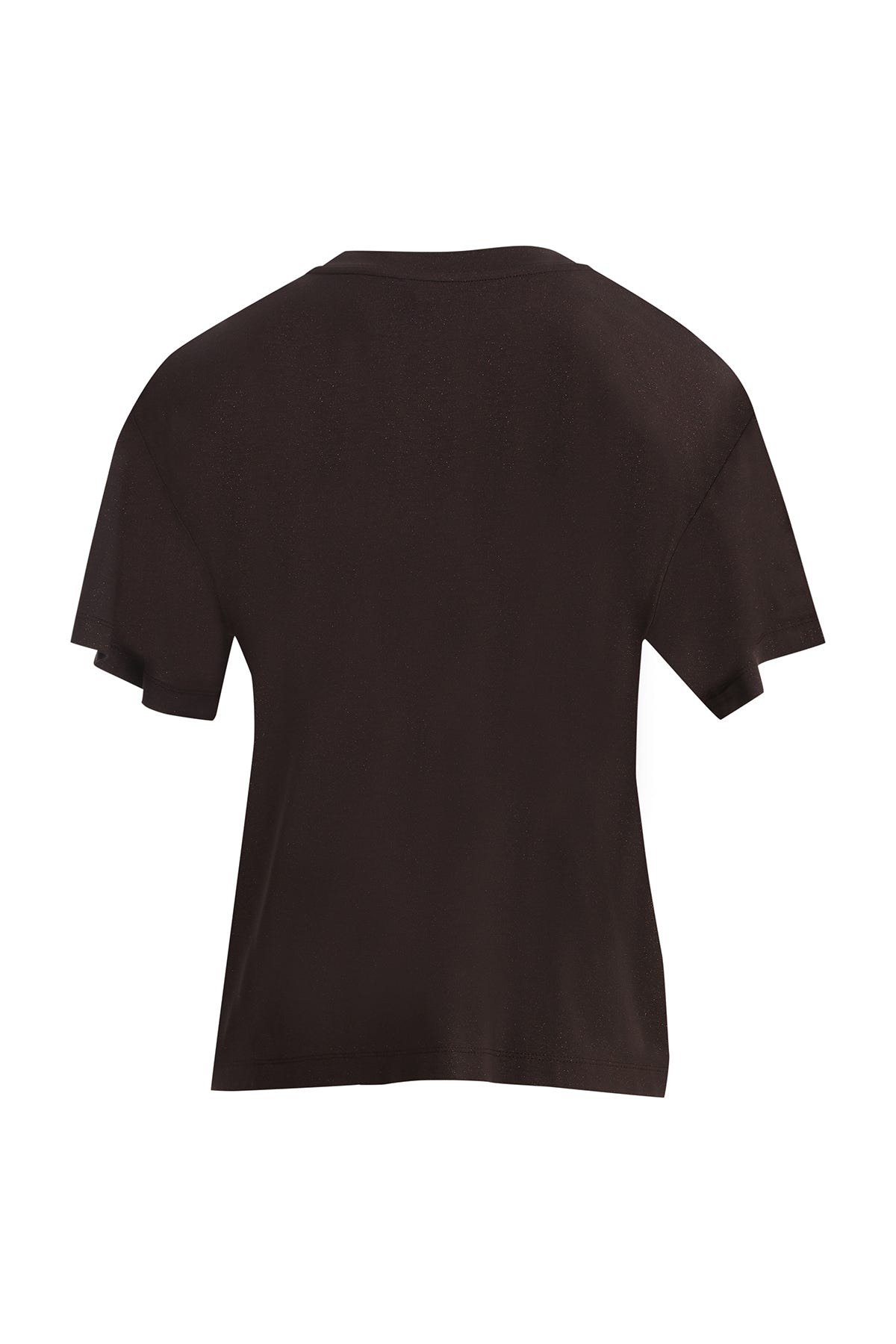 Simli İşleme Detaylı T-Shirt